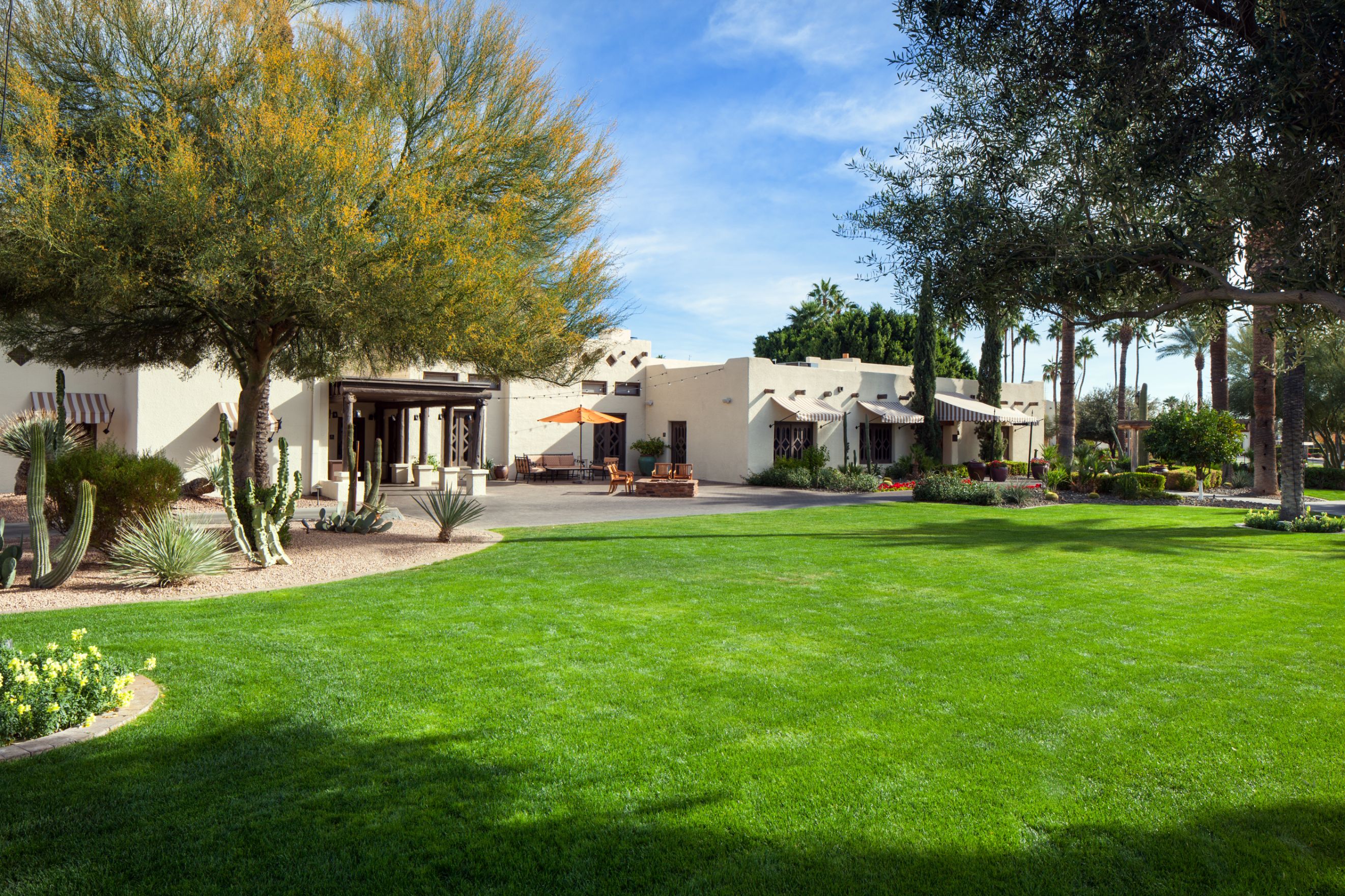 a lawn with trees and a building in the background