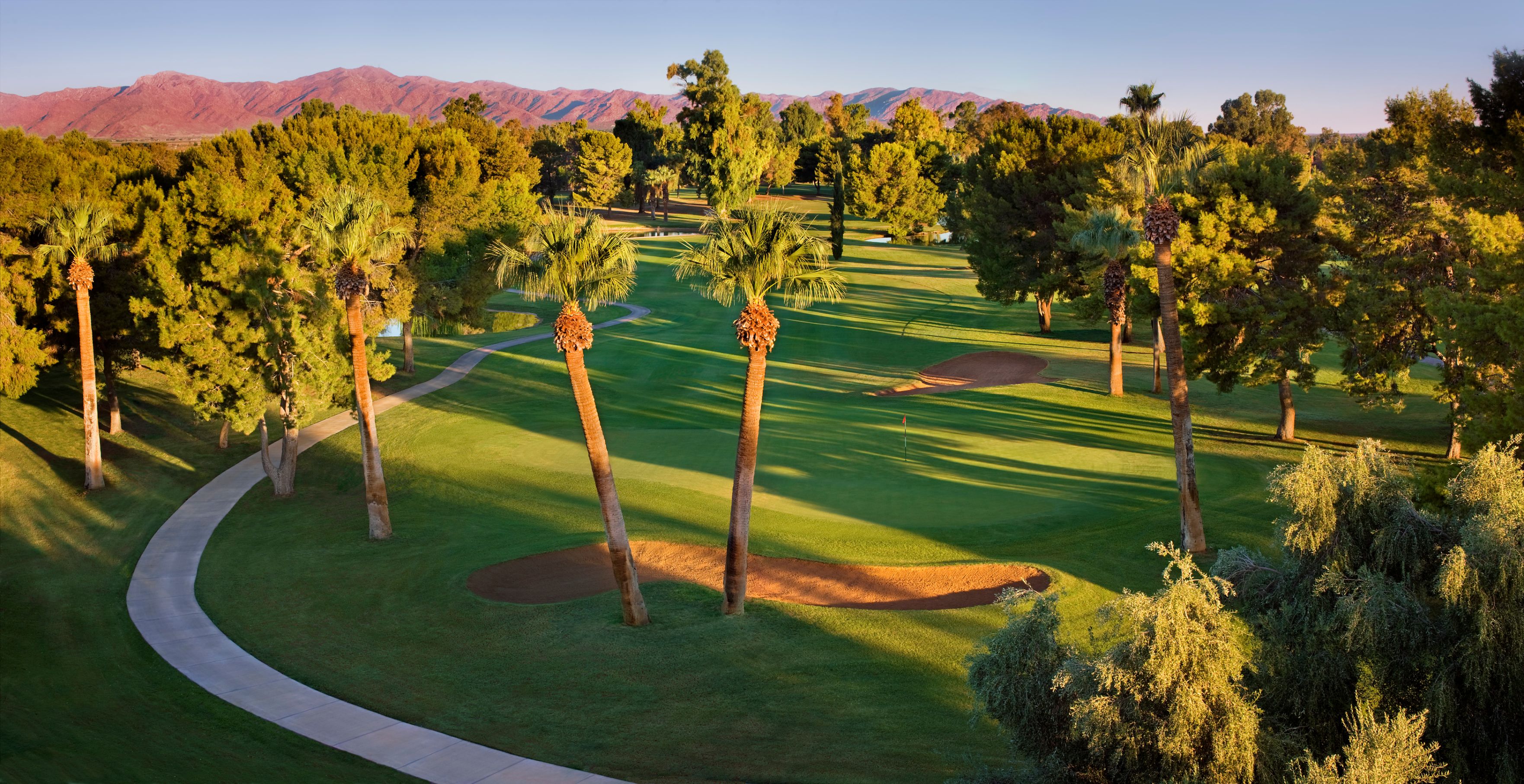 a golf course with palm trees and a path