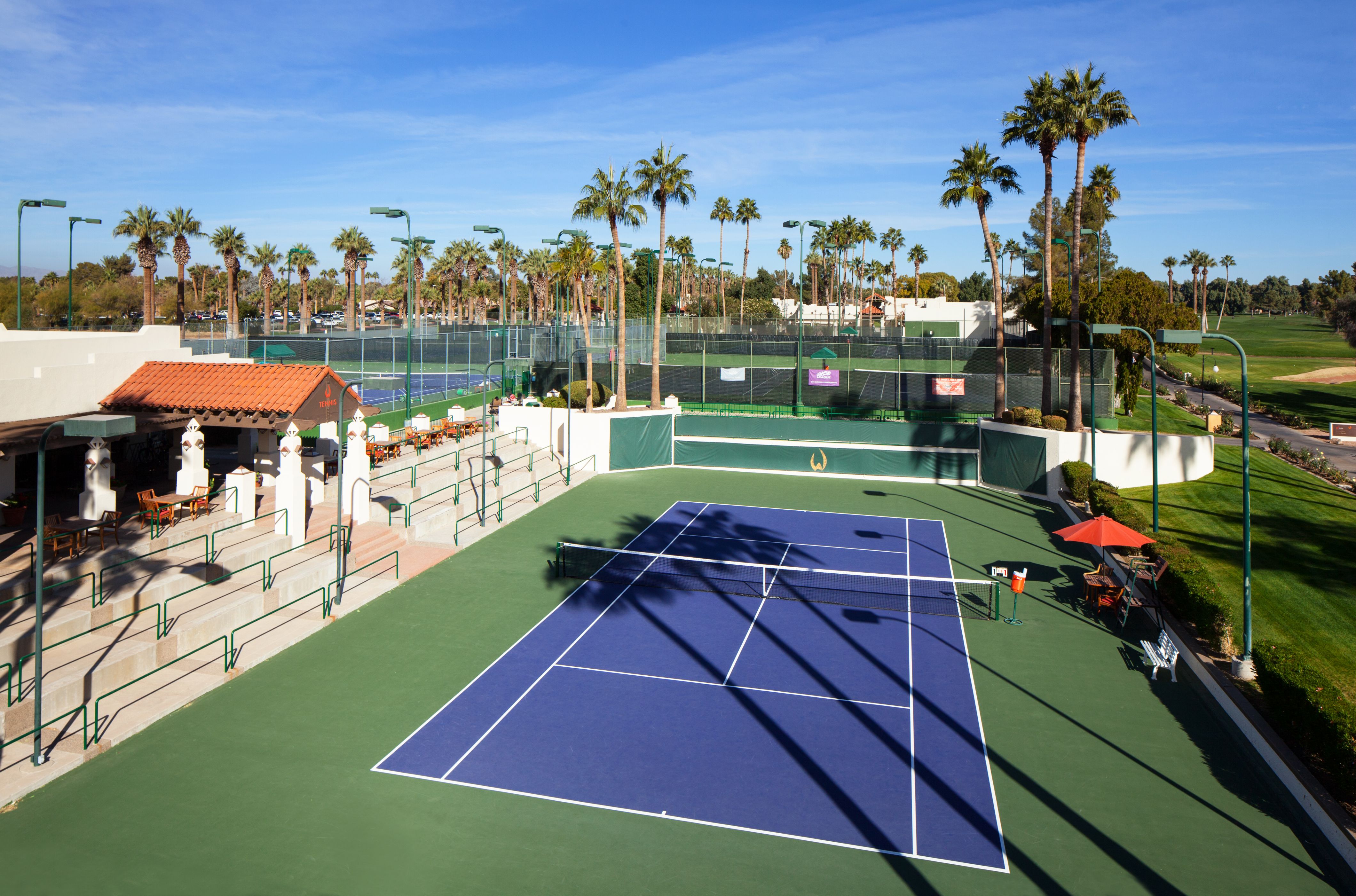 a tennis court with palm trees