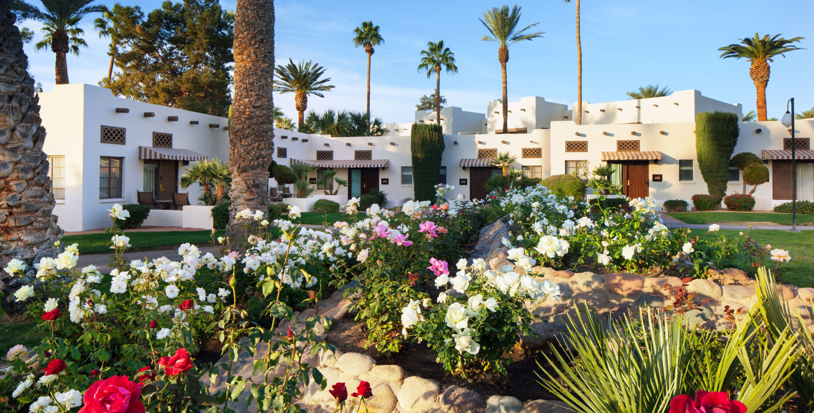 a garden with flowers and palm trees in front of a building