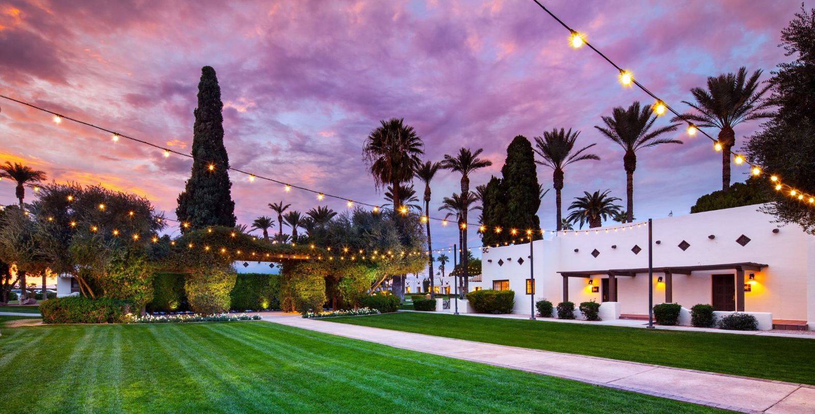 a lawn with trees and a building with lights