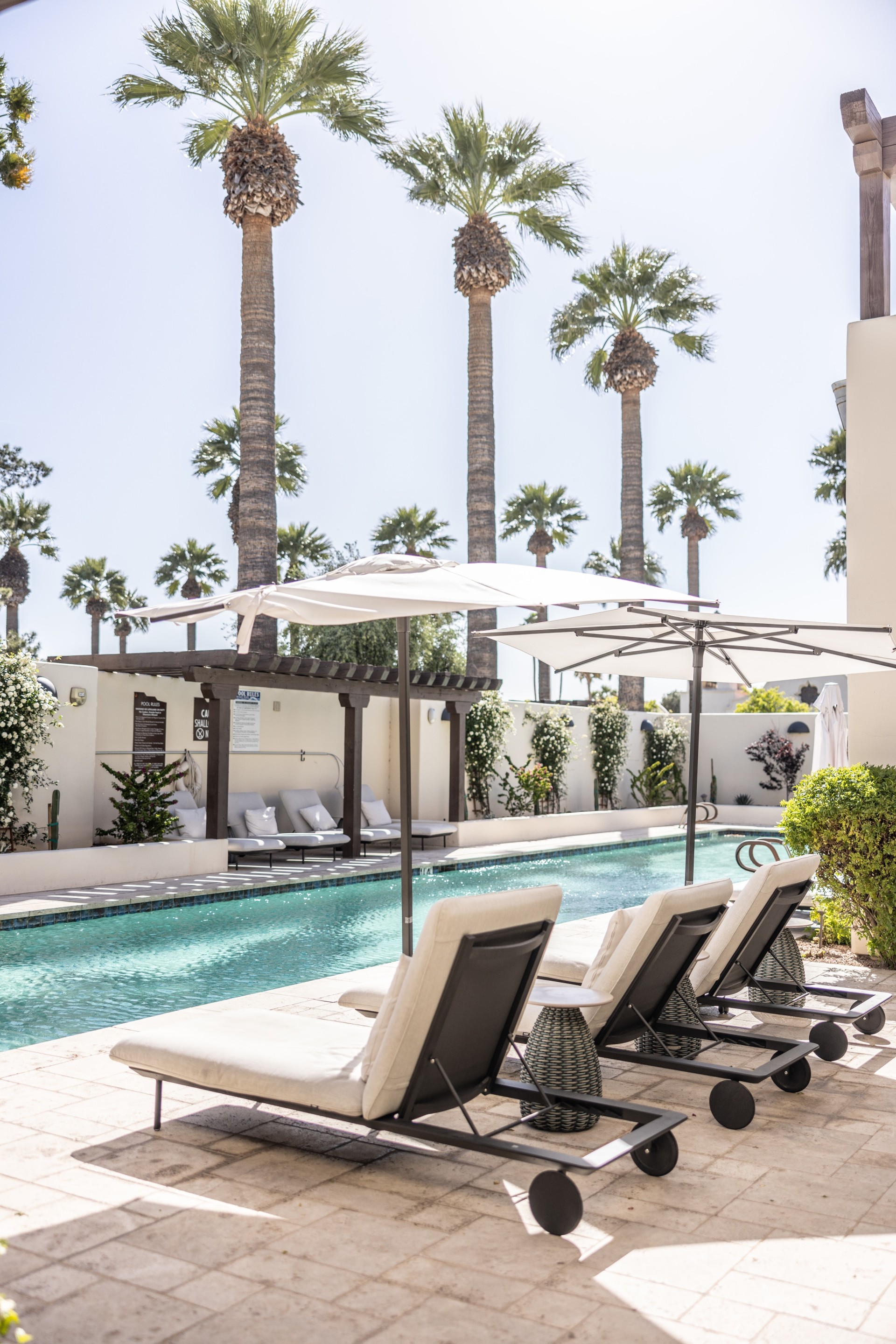 a pool with lounge chairs and umbrellas