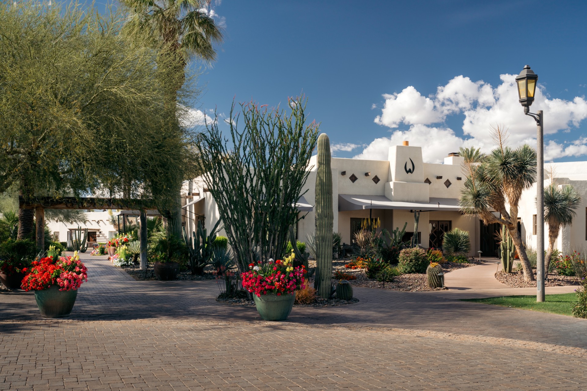 a building with cactus plants and flowers