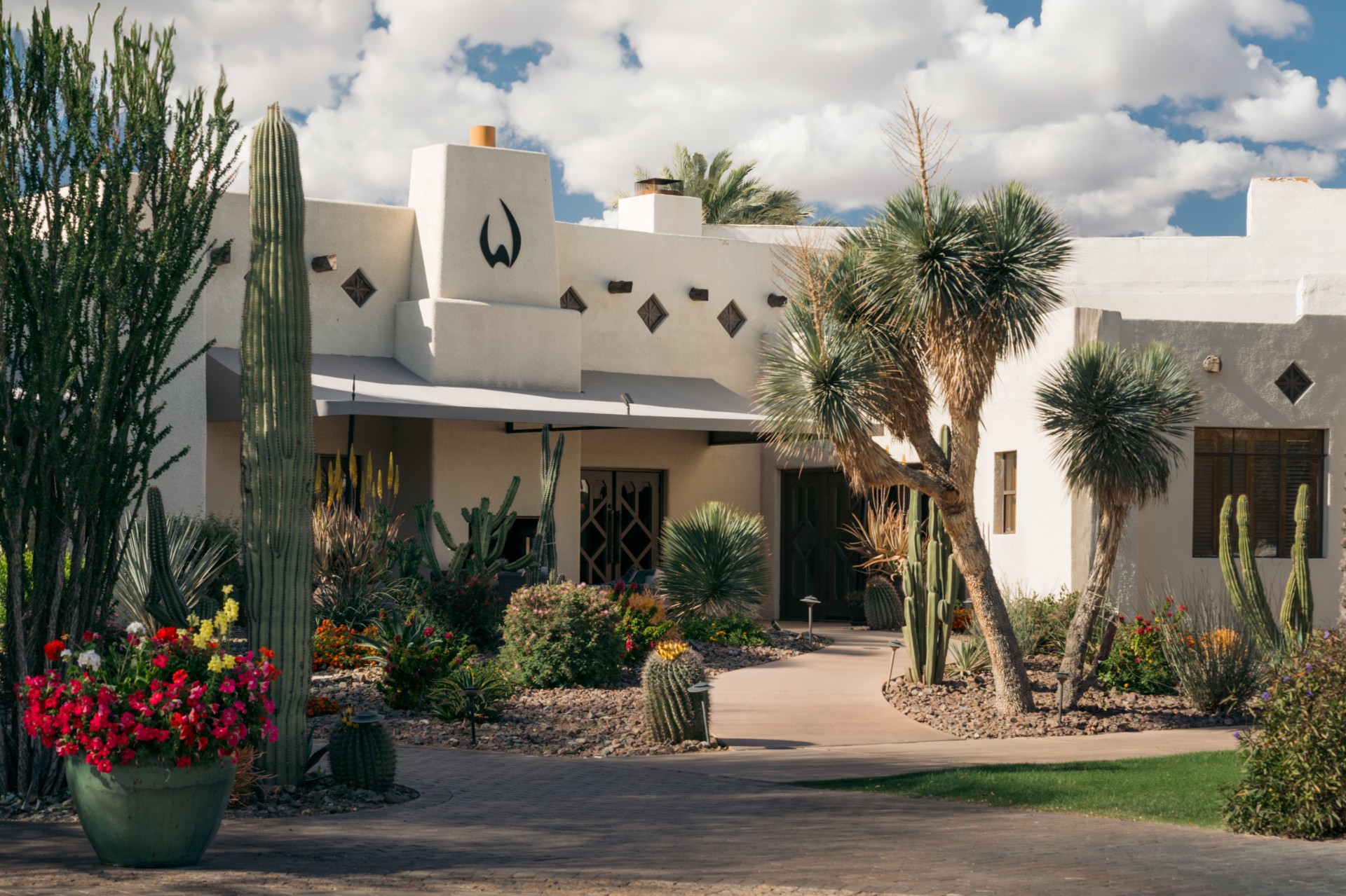 a cactus garden in front of a building