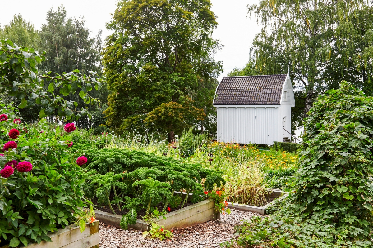 a garden with a white shed and flowers