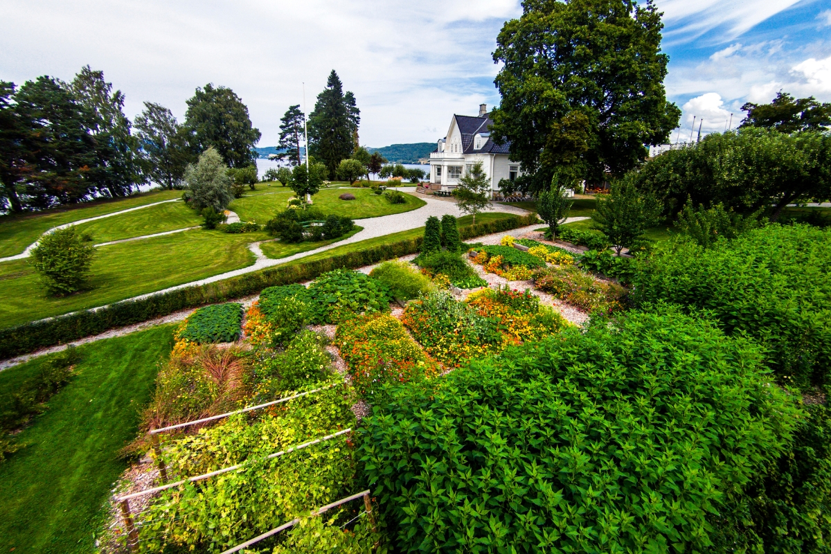 a garden with a house and trees
