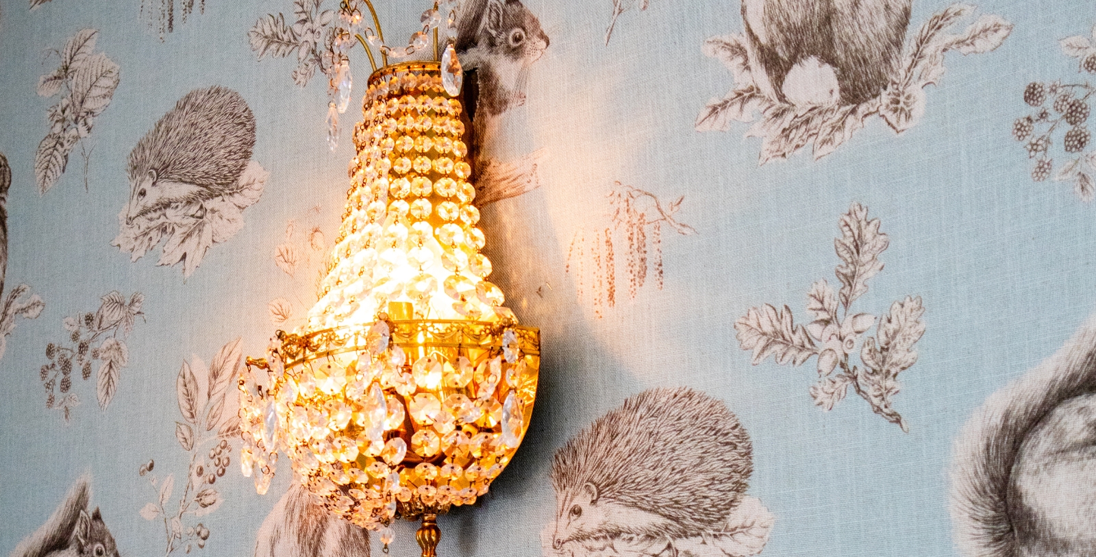 a crystal chandelier on a wall