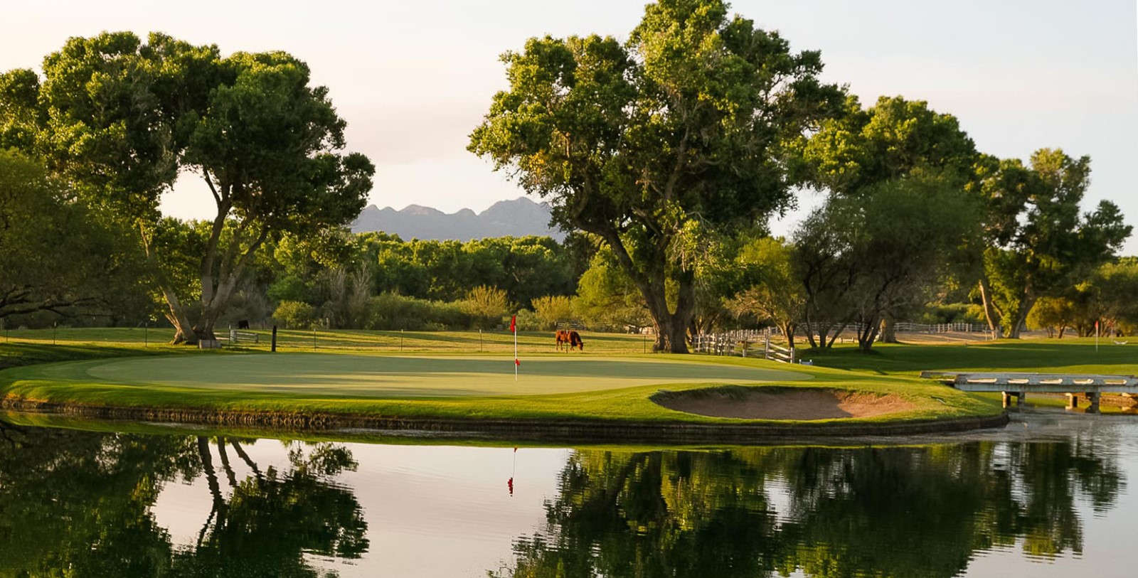 a horse on a golf course