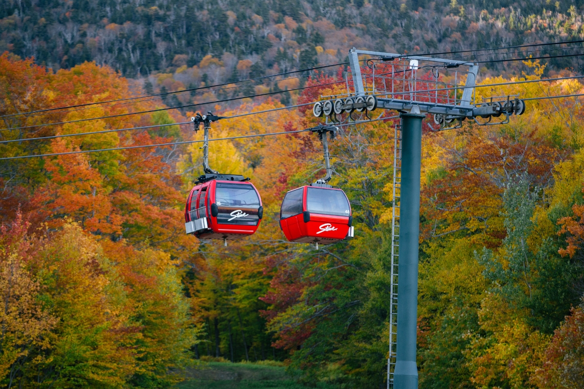 two gondolas in the woods