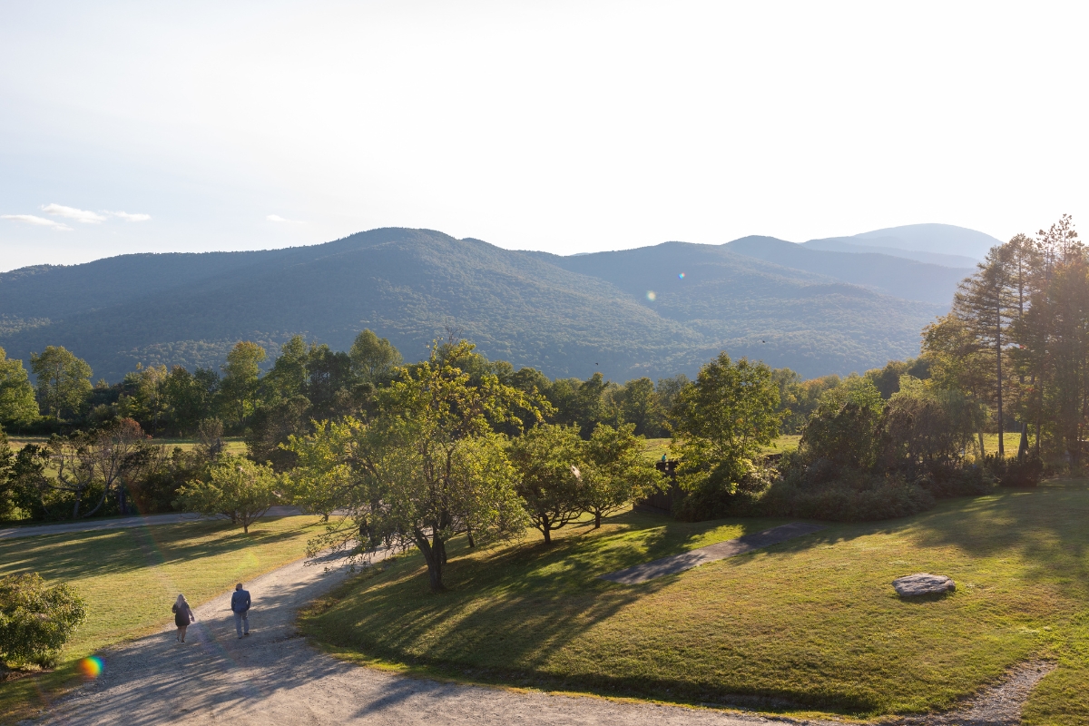 a group of people walking on a dirt path in a grassy area with trees and mountains in the background
