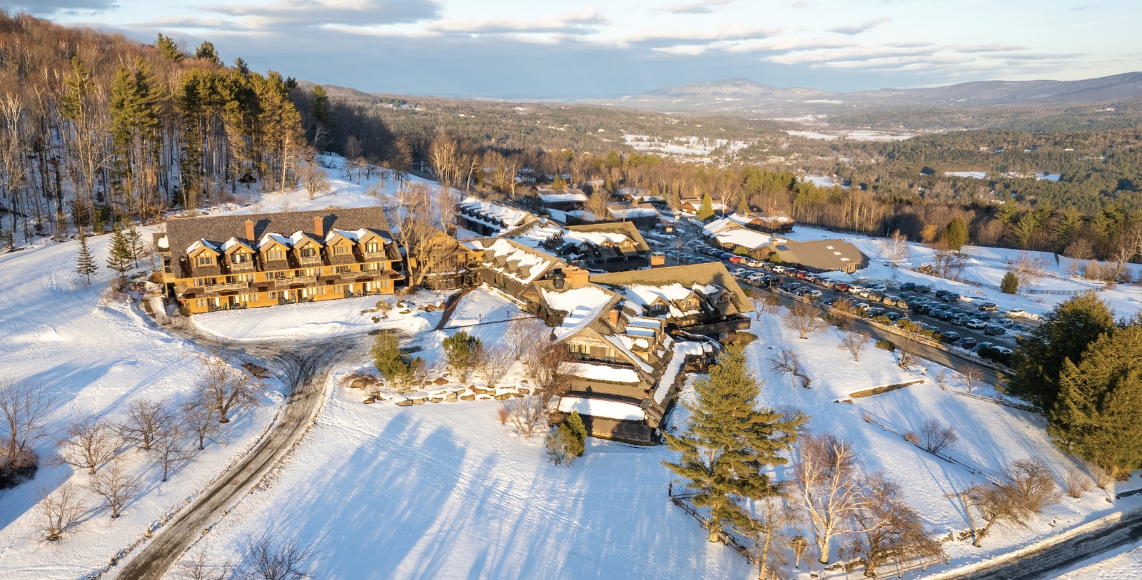 a snow covered town with houses and trees