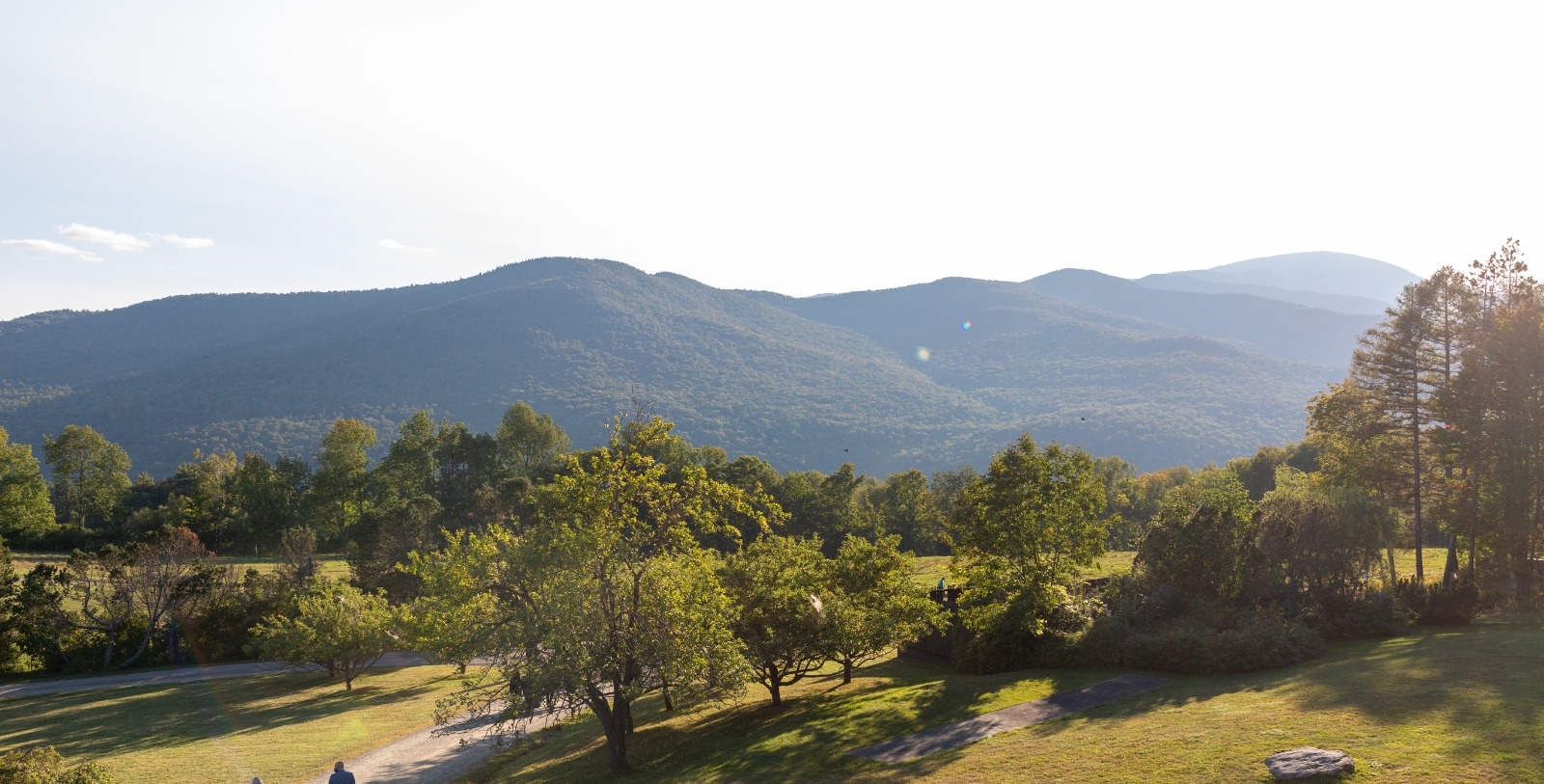 a landscape with trees and mountains in the background