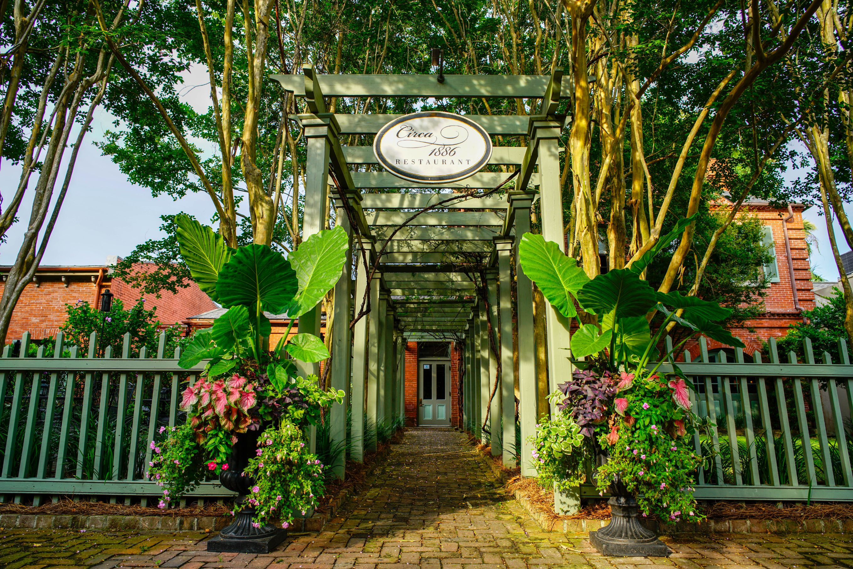 a walkway with a pergola and flowers