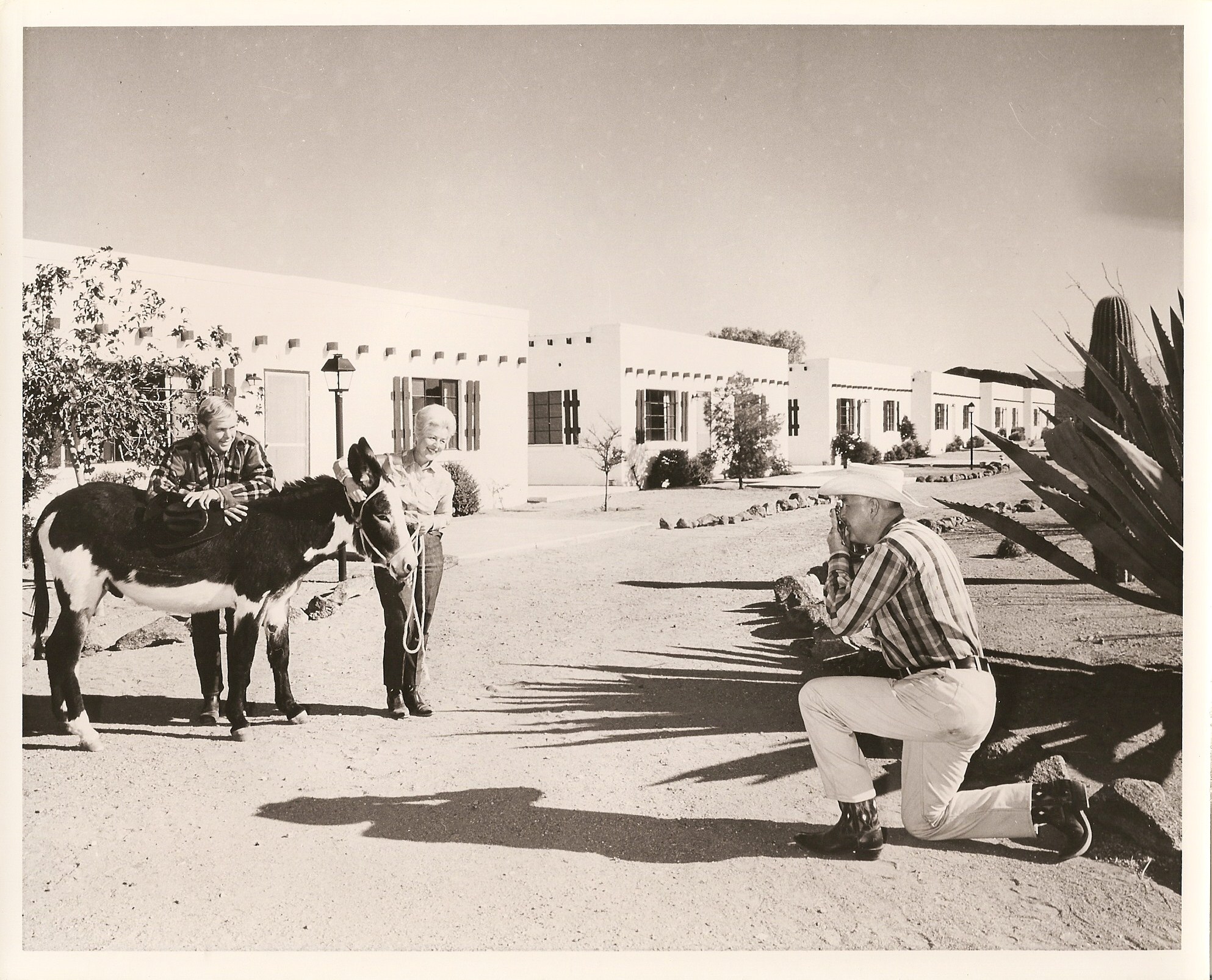 a man kneeling on a road with donkeys