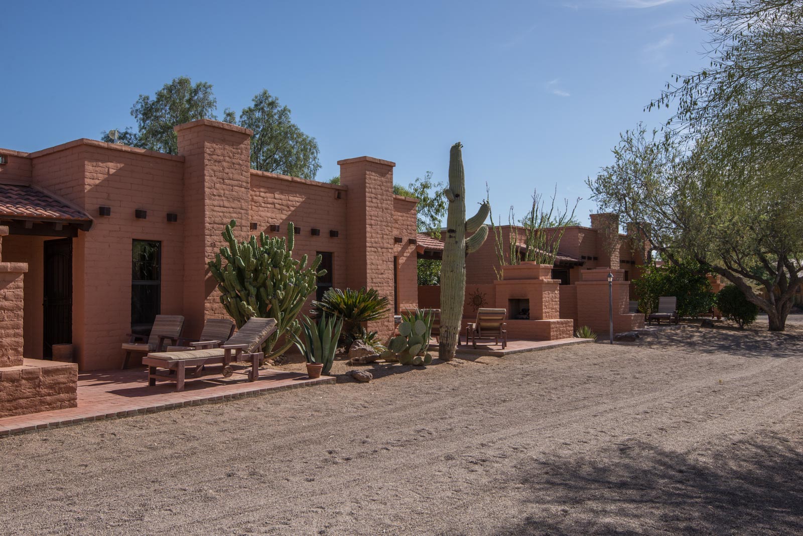 a building with a cactus in the front