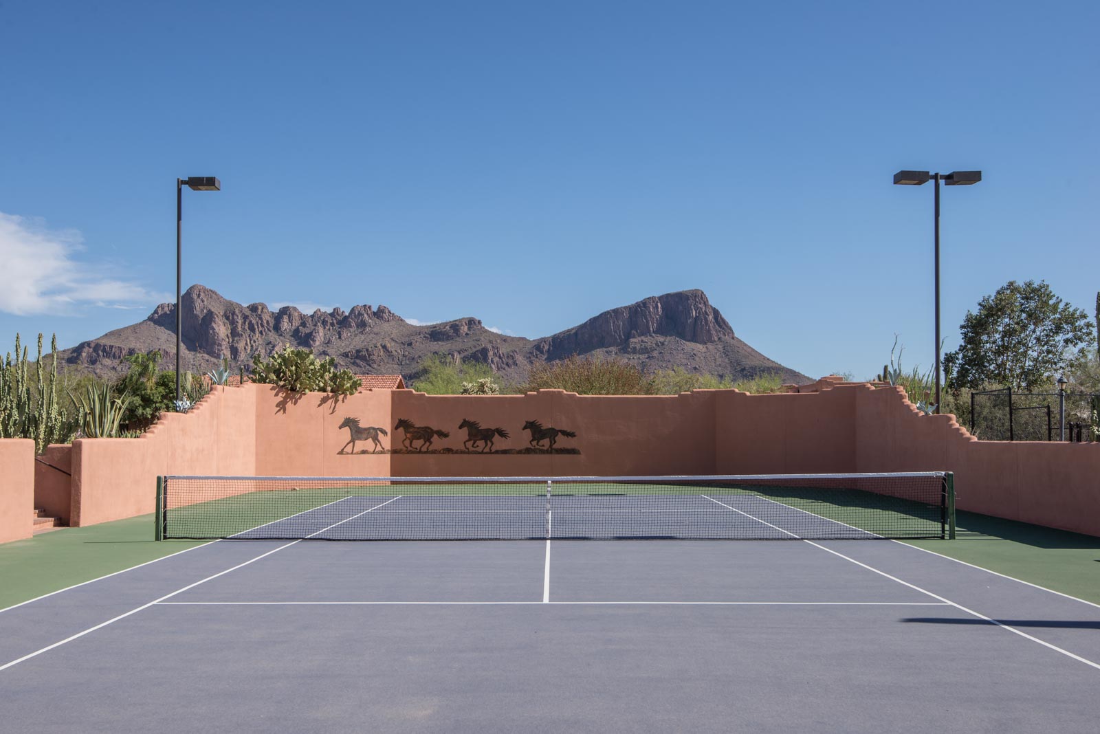 a tennis court with a wall and a couple of horses on it