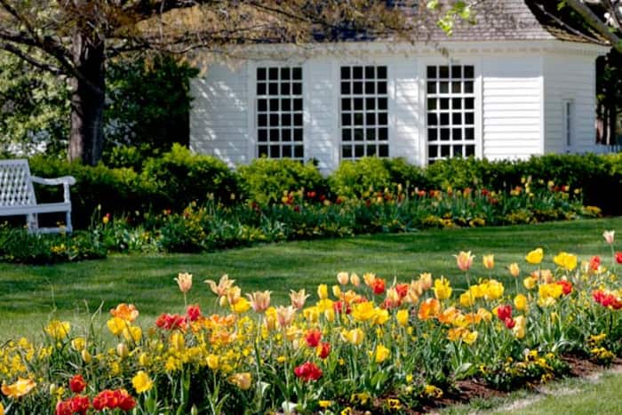 a garden with flowers in front of a white house