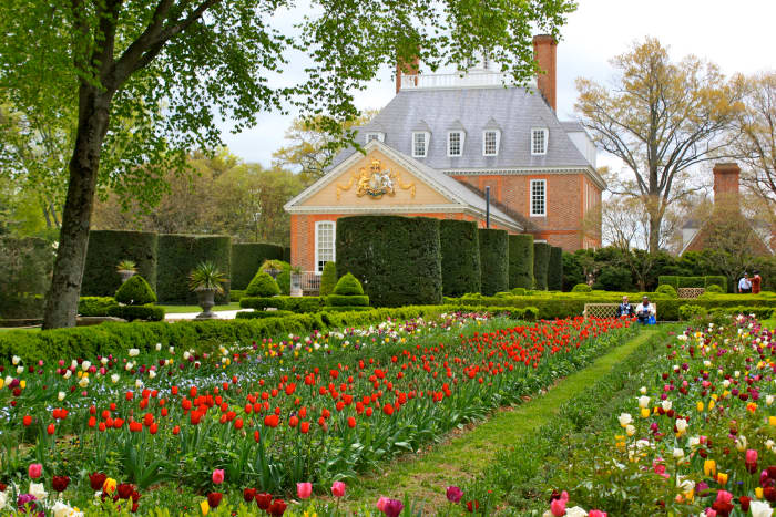 a garden with many flowers in front of a building