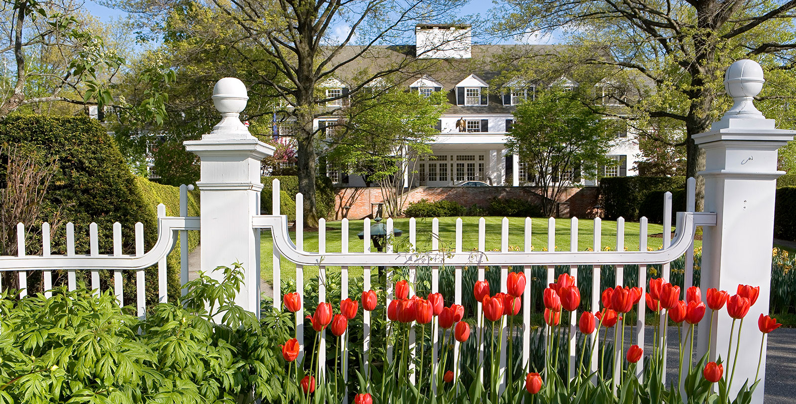 a white picket fence with red flowers