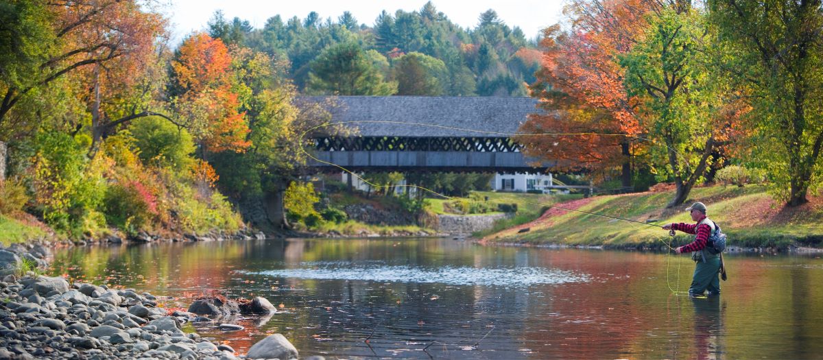 a river with a bridge over it