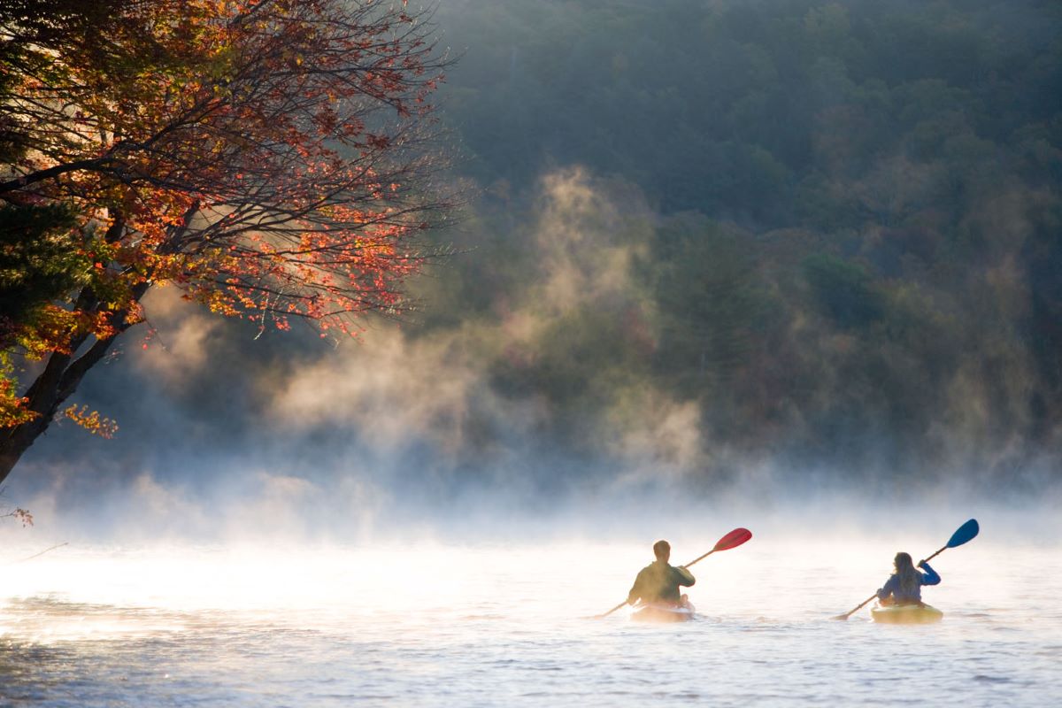 people kayaking in the fog