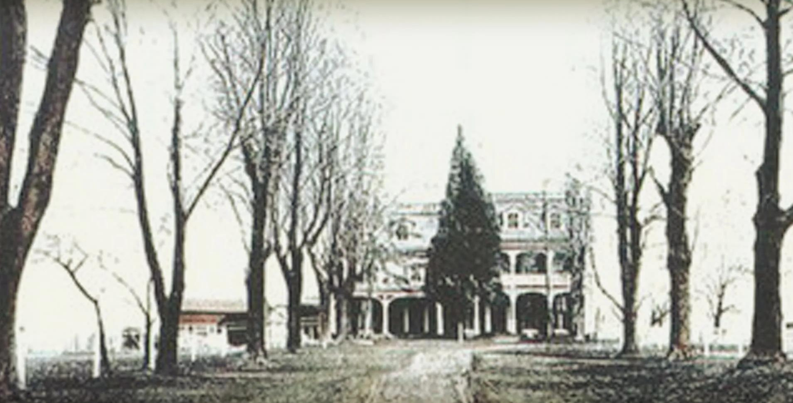 a large building with trees in front