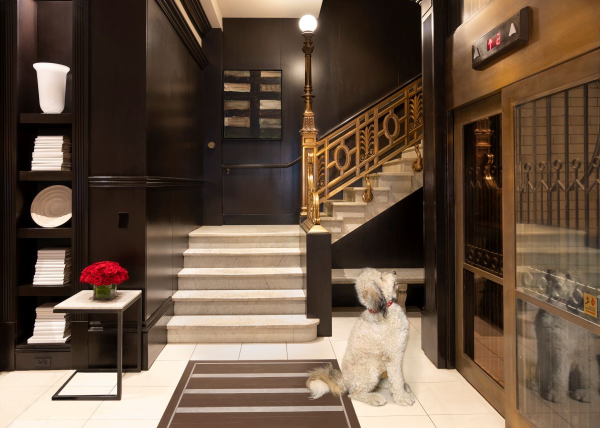 a dog sitting in front of a staircase
